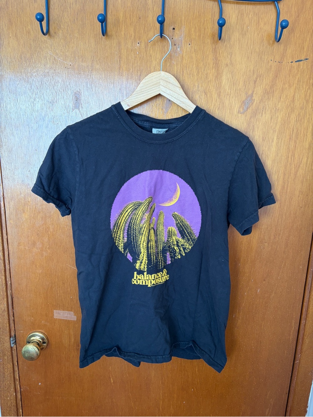Balance & Composure on Comfort Colors - M